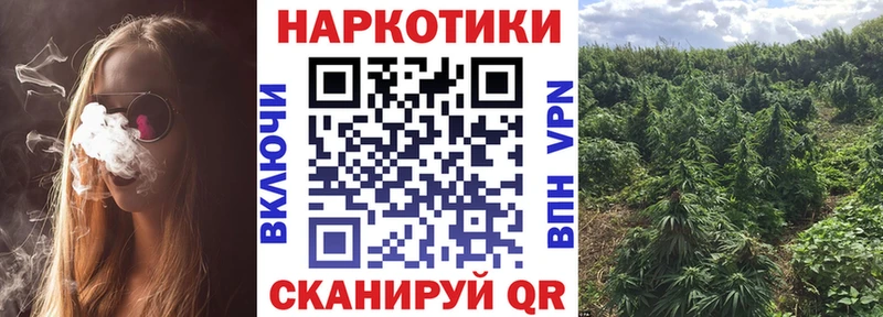 Бошки Шишки Дзержинский