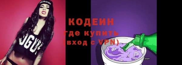 mdpv Богородицк