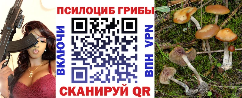 blacksprut зеркало  Дзержинский  Галлюциногенные грибы MAGIC MUSHROOMS 